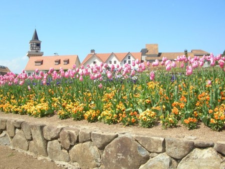 20050514141203