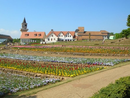 20050514145011